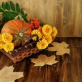 Autumn still life Royalty Free Stock Photo