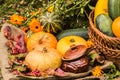 Autumn still life with pumpkins and autumn leaves in a basket Royalty Free Stock Photo