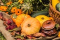 Autumn still life with pumpkins and autumn leaves on rustic background Royalty Free Stock Photo