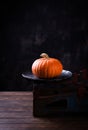 Autumn Pumpkin Thanksgiving Background - orange pumpkins over wooden table Royalty Free Stock Photo