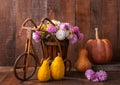 Autumn still life - Pumpkins and Chrysanthemums bunch against the background of old wooden wall