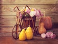 Autumn still life Royalty Free Stock Photo