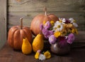 Autumn still life Royalty Free Stock Photo