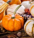 Autumn Still Life of Pumpkins and Corn