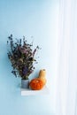 Autumn still life. Pumpkins and dried flowers bouquet in concrete vase. Modern fall concept in minimalism style Royalty Free Stock Photo