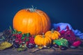 Autumn still life with pumpkins, dry leaves and berries. Royalty Free Stock Photo