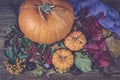 Autumn still life with pumpkins, dry leaves and berries. Royalty Free Stock Photo