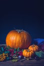 Autumn still life with pumpkins, dry leaves and berries. Royalty Free Stock Photo