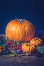 Autumn still life with pumpkins, dry leaves and berries. Royalty Free Stock Photo