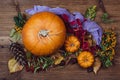 Autumn still life with pumpkins, dry leaves and berries. Royalty Free Stock Photo