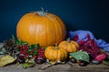 Autumn still life with pumpkins, dry leaves and berries. Royalty Free Stock Photo