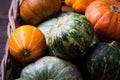 Autumn Pumpkin Thanksgiving Background - orange pumpkins over wooden table Royalty Free Stock Photo