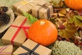 Autumn still life with pumpkins, gift boxes wrapped of craft paper and colorful ribbons, dry leaves, dry moss, leaves of fern. Royalty Free Stock Photo