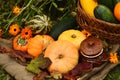 Autumn still life with pumpkins, gourds and flowers. Vegetables and flowers are arranged on burlap. Royalty Free Stock Photo