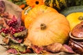 Autumn still life with pumpkins, leaves, berries and flowers Royalty Free Stock Photo