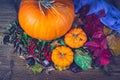 Autumn still life with pumpkins, dry leaves and berries. Royalty Free Stock Photo