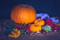 Autumn still life with pumpkins, dry leaves and berries. Royalty Free Stock Photo