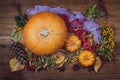 Autumn still life with pumpkins, dry leaves and berries. Royalty Free Stock Photo