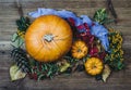 Autumn still life with pumpkins, dry leaves and berries. Royalty Free Stock Photo