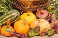 Autumn still life with pumpkins, leaves, flowers and basket Royalty Free Stock Photo