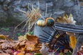 Autumn still life with pumpkins, leaves and a rake