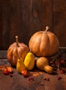 Autumn still life with pumpkins, leaves, rosehip berries and physalis against the background of old wooden wall Royalty Free Stock Photo