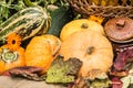 Autumn still life with pumpkins and leaves on rustic background Royalty Free Stock Photo