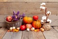 Autumn still life with pumpkins, vegetables and cotton on a rust