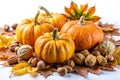Autumn Still-Life with Pumpkins and Walnuts Over White Background Royalty Free Stock Photo