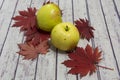 Autumn still life. Red autumn leaves and two apples on a light tree background Royalty Free Stock Photo