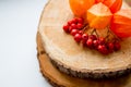 Autumn still life. rowan berries and physalis on the stump. Fall leaves, harvest, ashberry on table top. Thanksgiving Royalty Free Stock Photo