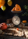 Autumn scene with pumpkins, scales and physalis Royalty Free Stock Photo