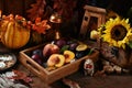 Autumn still life with seasonal fruits in the box on wooden table Royalty Free Stock Photo