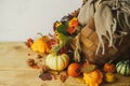 Autumn still life. Stylish pumpkins, autumn flowers in basket, berries and nuts on rustic wooden table. Seasons greeting card. Royalty Free Stock Photo
