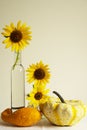 Autumn Still Life Wtih Sunflowers And Pumpkins Royalty Free Stock Photo