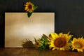 autumn still life sunflowers and copy space on wooden table on dark background Royalty Free Stock Photo