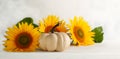 Autumn still life with sunflowers and white pumpkin..Autumn arrangement on a white wooden table Royalty Free Stock Photo