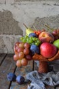 Autumn still life for thanksgiving with autumn fruits and berries on wooden background - grapes, apples, plums, viburnum, dogwood Royalty Free Stock Photo