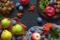 Autumn still life for thanksgiving with autumn fruits and berries on wooden background - grapes, apples, plums, viburnum, dogwood.