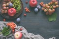 Autumn still life for thanksgiving with autumn fruits and berries on wooden background - grapes, apples, plums, viburnum, dogwood. Royalty Free Stock Photo