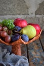 Autumn still life for thanksgiving with autumn fruits and berries on wooden background - grapes, apples, plums, viburnum, dogwood Royalty Free Stock Photo