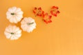 Autumn still life with three white pumpkins and bright maple leaves on a pastel orange background. Copy space for text.Template Royalty Free Stock Photo