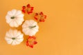 Autumn still life with three white pumpkins and bright maple leaves on a pastel orange background. Copy space for text.Template Royalty Free Stock Photo