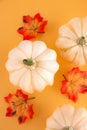 Autumn still life with three white pumpkins and bright maple leaves on a pastel orange background. Copy space for text.Template Royalty Free Stock Photo