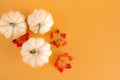 Autumn still life with three white pumpkins and bright maple leaves on a pastel orange background. Copy space for text.Template Royalty Free Stock Photo