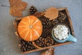 Autumn still life from tray full of pumpkin, leaves, cones, mug of cocoa, coffee or hot chocolate with marshmallow on