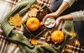 Autumn still life from tray full of pumpkin, leaves, cones, scarf, mug of cocoa, coffee or hot chocolate with