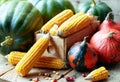 Autumn still life from variety of pumpkins, corn, grain and cranberry berries