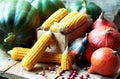 Autumn still life from variety of pumpkins, corn, grain and cranberry berries