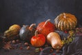 Autumn still life with variety of pumpkins - cucurbita fruits of different colors and sizes with nuts and berries Royalty Free Stock Photo